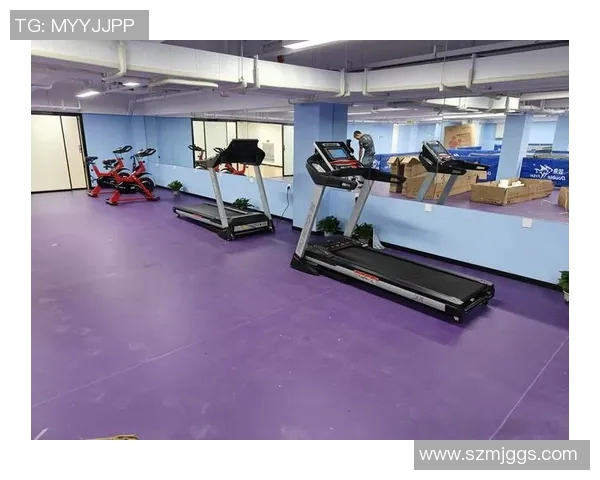 全面提升身体素质的健身器材推荐与使用指南 全面提升身体素质的健身器材推荐与使用指南