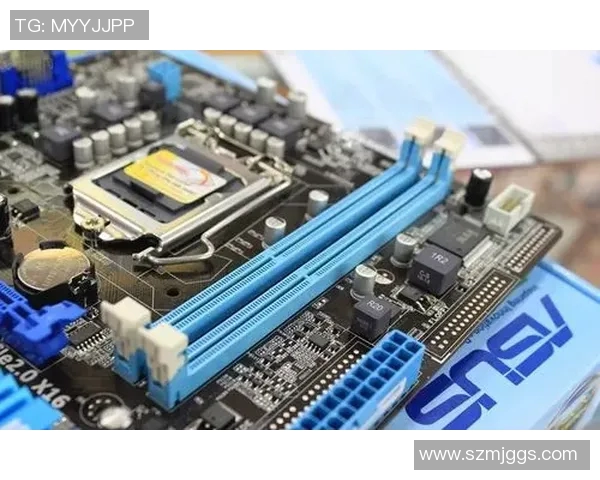 V5战队转型之路解析与未来发展展望